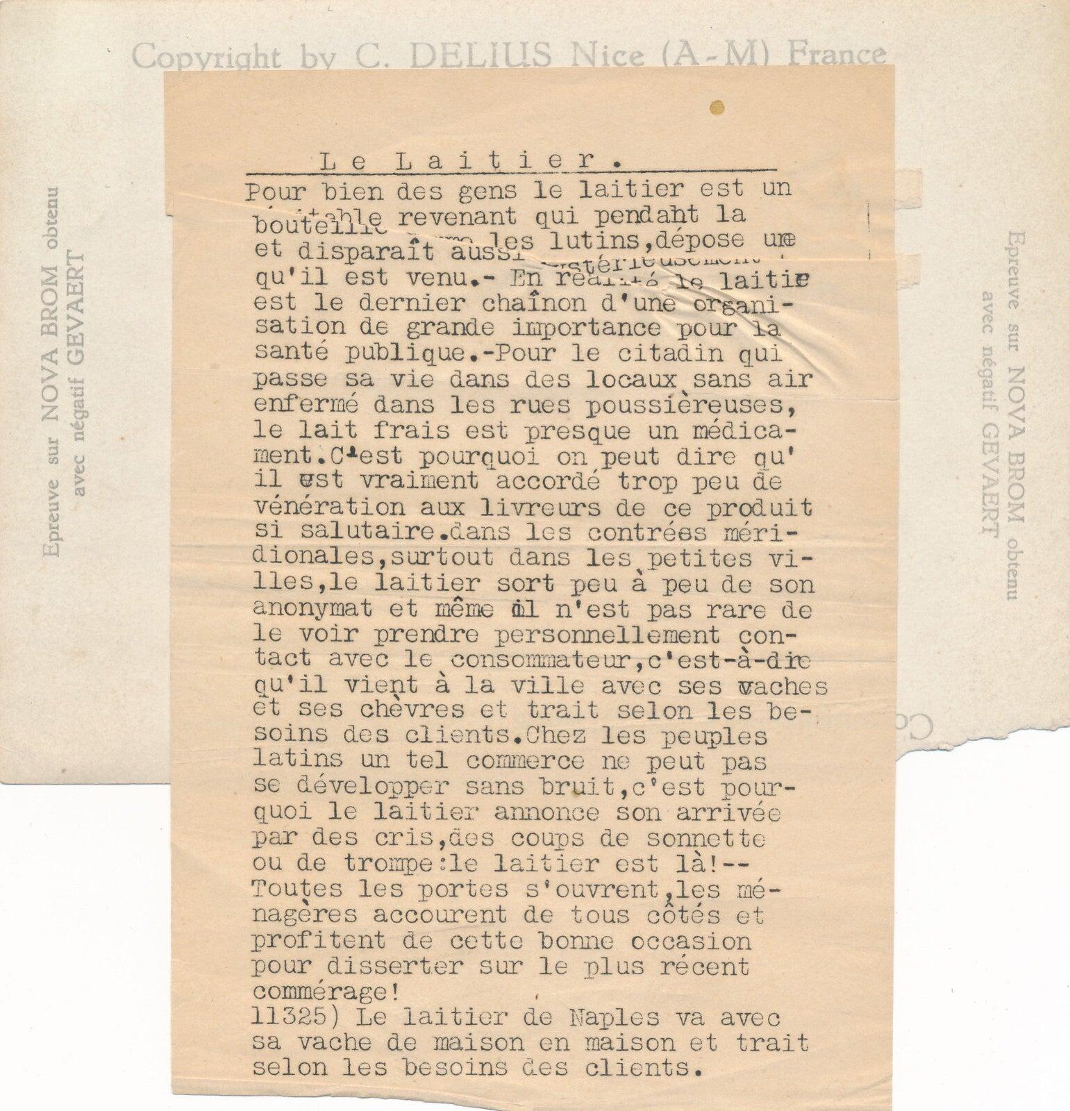 laitier Naples vache traite lait photo photographie époque argentique Italie