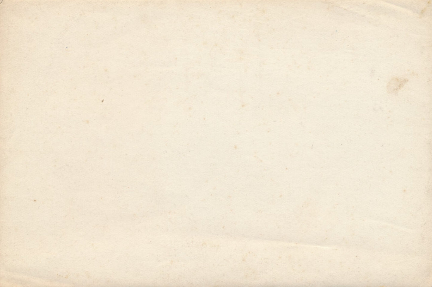 Paysage  chèvres 2 photos technique différente citrate argentique photographie