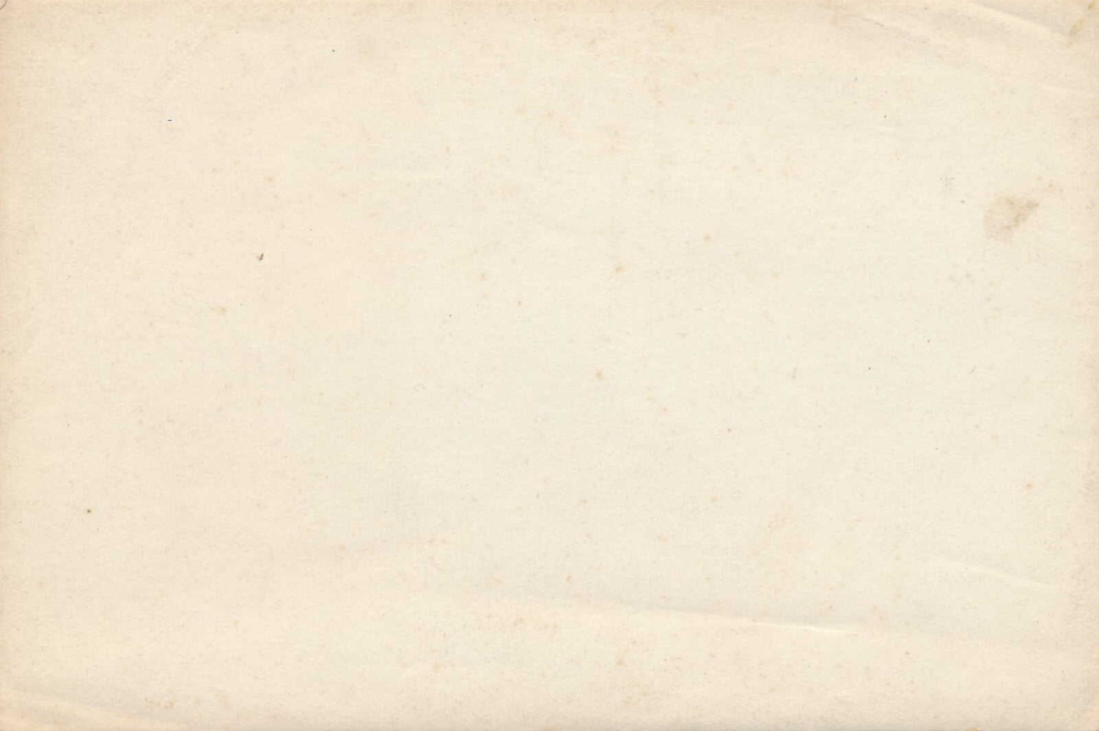 Paysage  chèvres 2 photos technique différente citrate argentique photographie