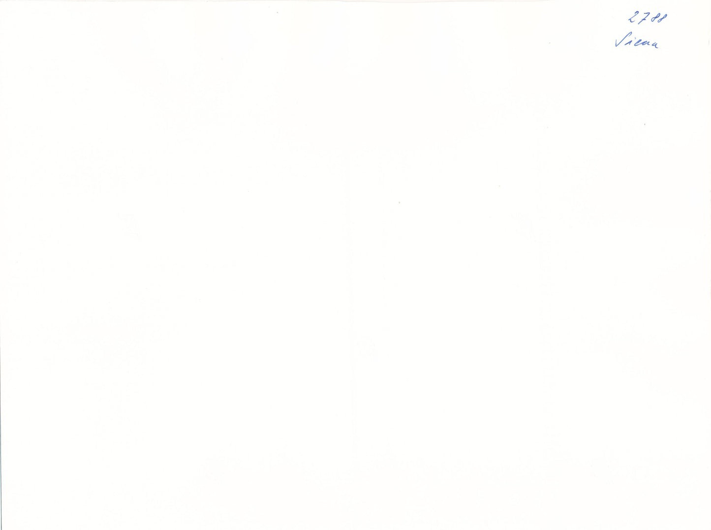 De dos cheveux femmes filles photo photographie argentique époque