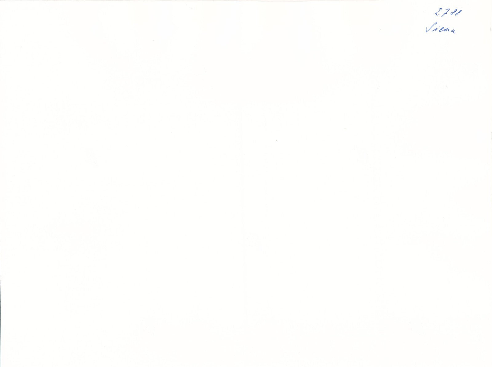 De dos cheveux femmes filles photo photographie argentique époque