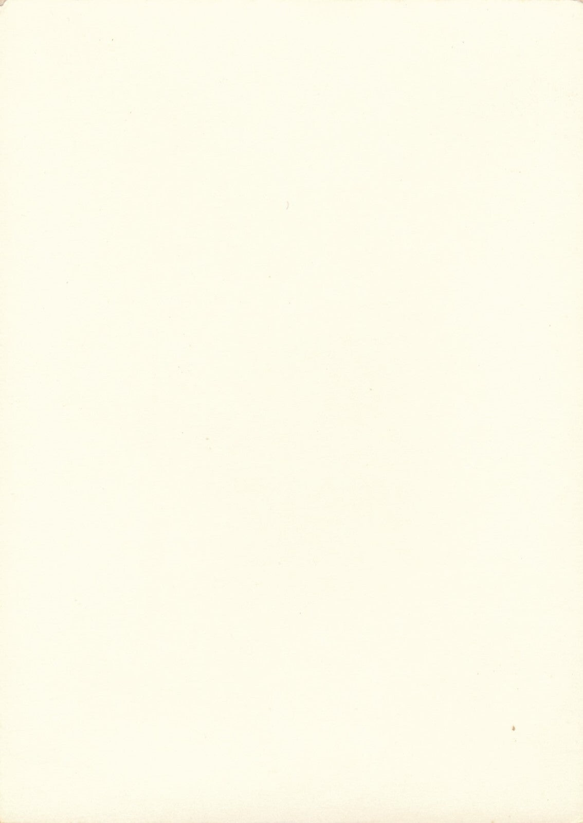 arbre 3 variations photo photographie v. 1960 nature paysage