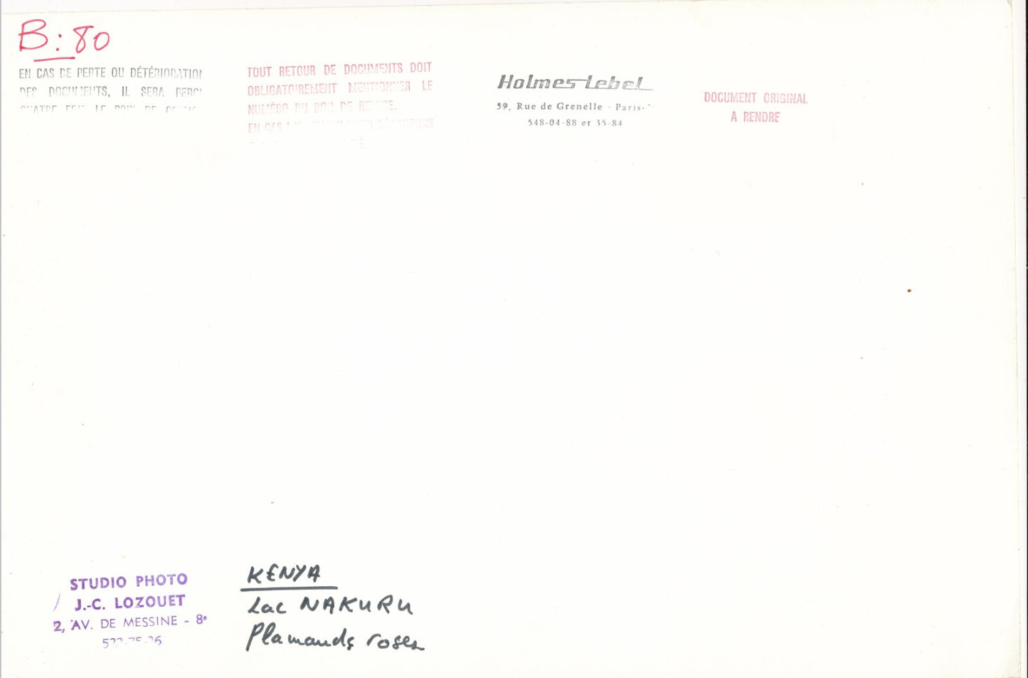 Kenya lac Nakuru flamants roses photo photographie v. 1960-70 C. Lozouet