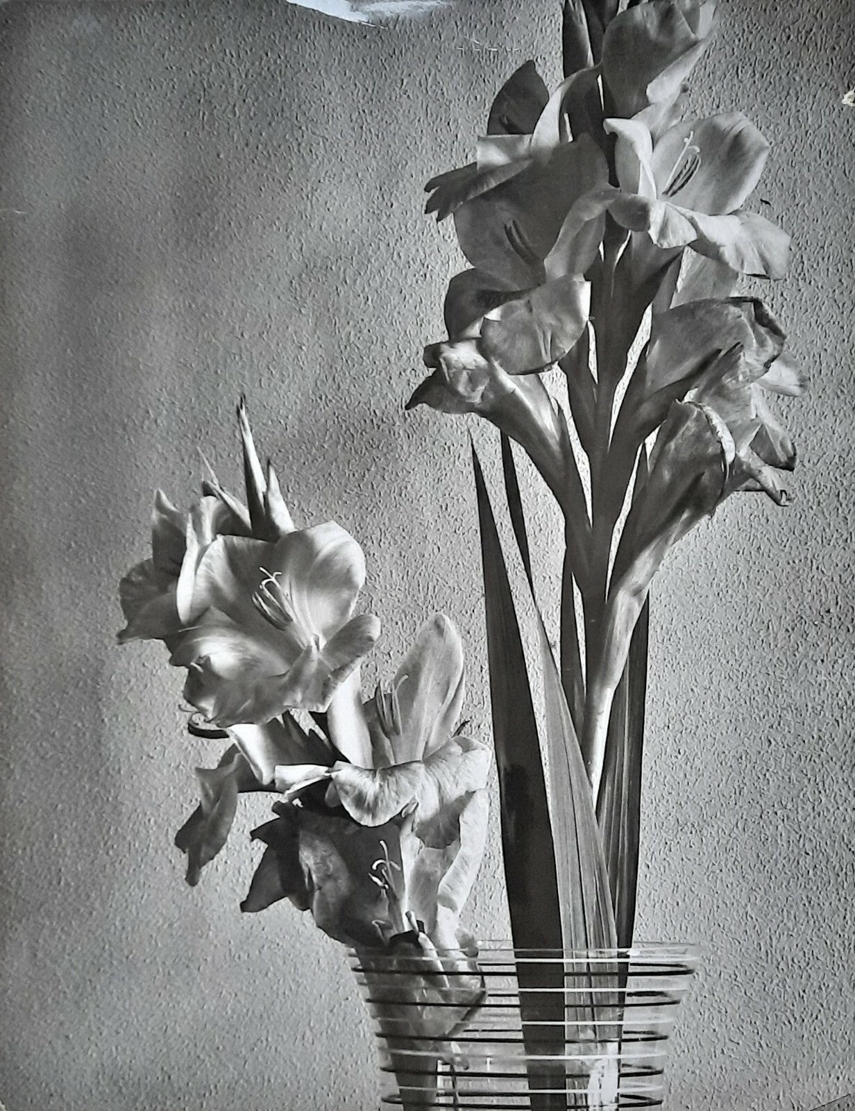 Fleur vase composition photo photographie v. 1940 attribution André DURAND
