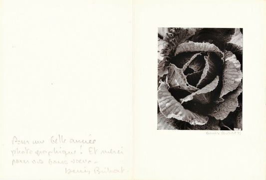 Denis BRIHAT photo photographie chou carte voeux 1975 signée envoi autographe