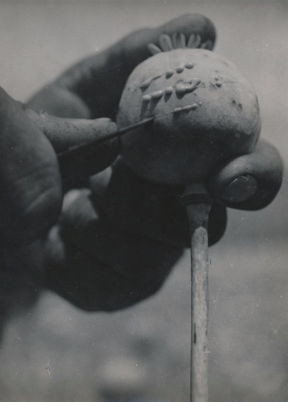 oignon cinéma photographie argentique époque Kiro Bilbilovski Skopje v. 1950