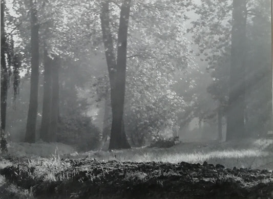 photo Paysage pictorialisme Anvers M. Creemers, Antwerpen Belgique v. 1930
