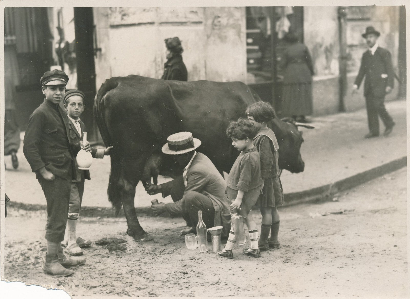 laitier Naples vache traite lait photo photographie époque argentique Italie
