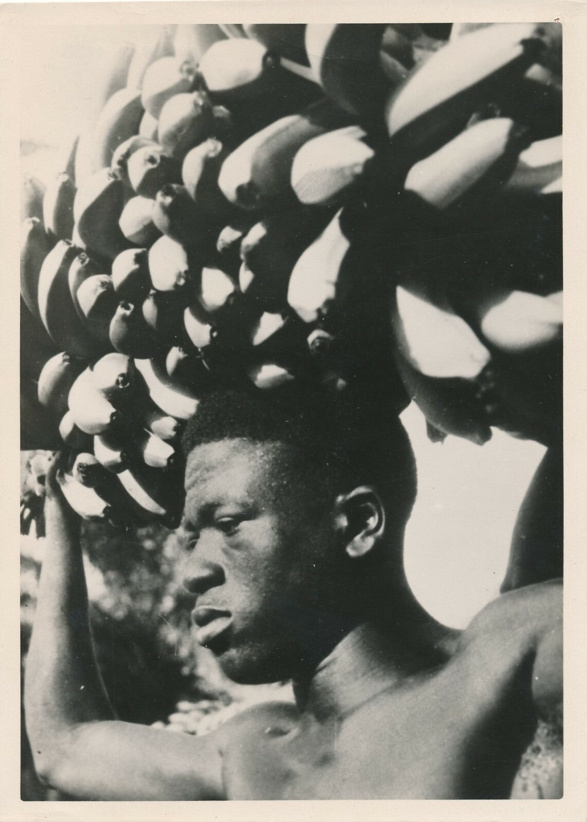 Guinée Afrique Porteur de bananes photo photographie Guinée française