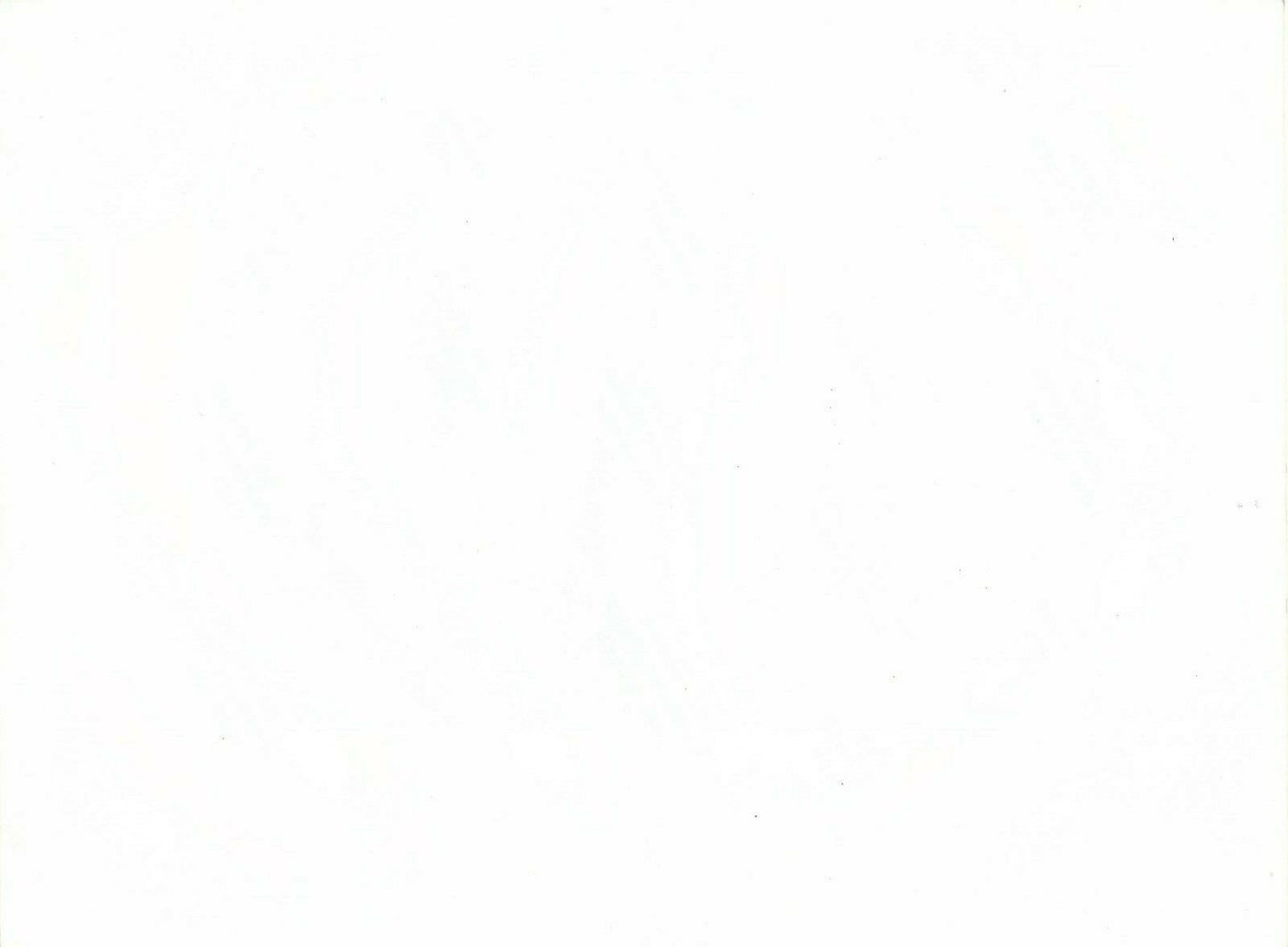 Photo buste tirage argentique papier RC v 1980 poitrine sexy