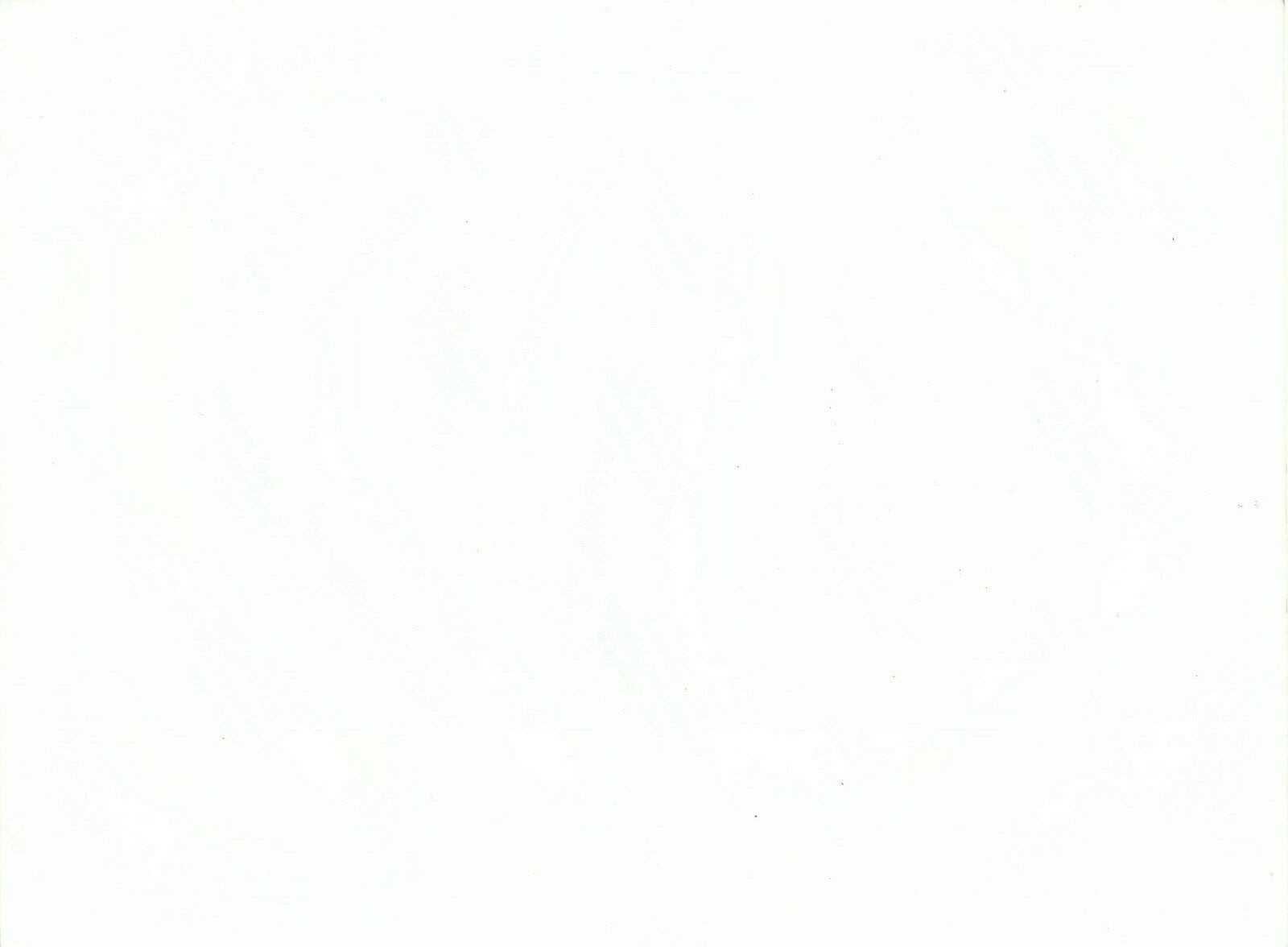 Photo buste tirage argentique papier RC v 1980 poitrine sexy