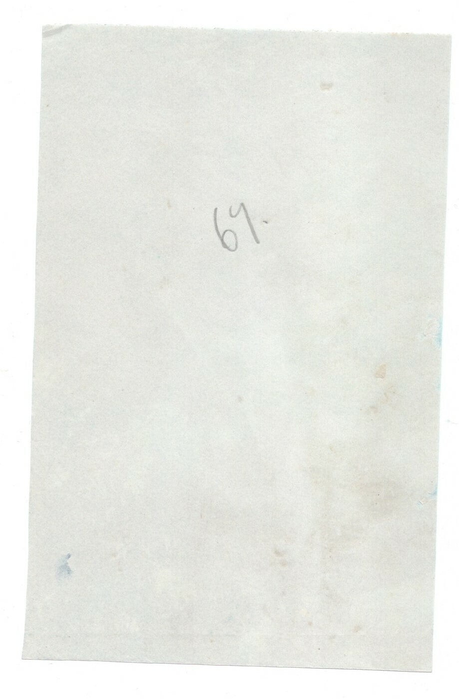 Paysage au palmier cyanotype années 1920 photo photographie