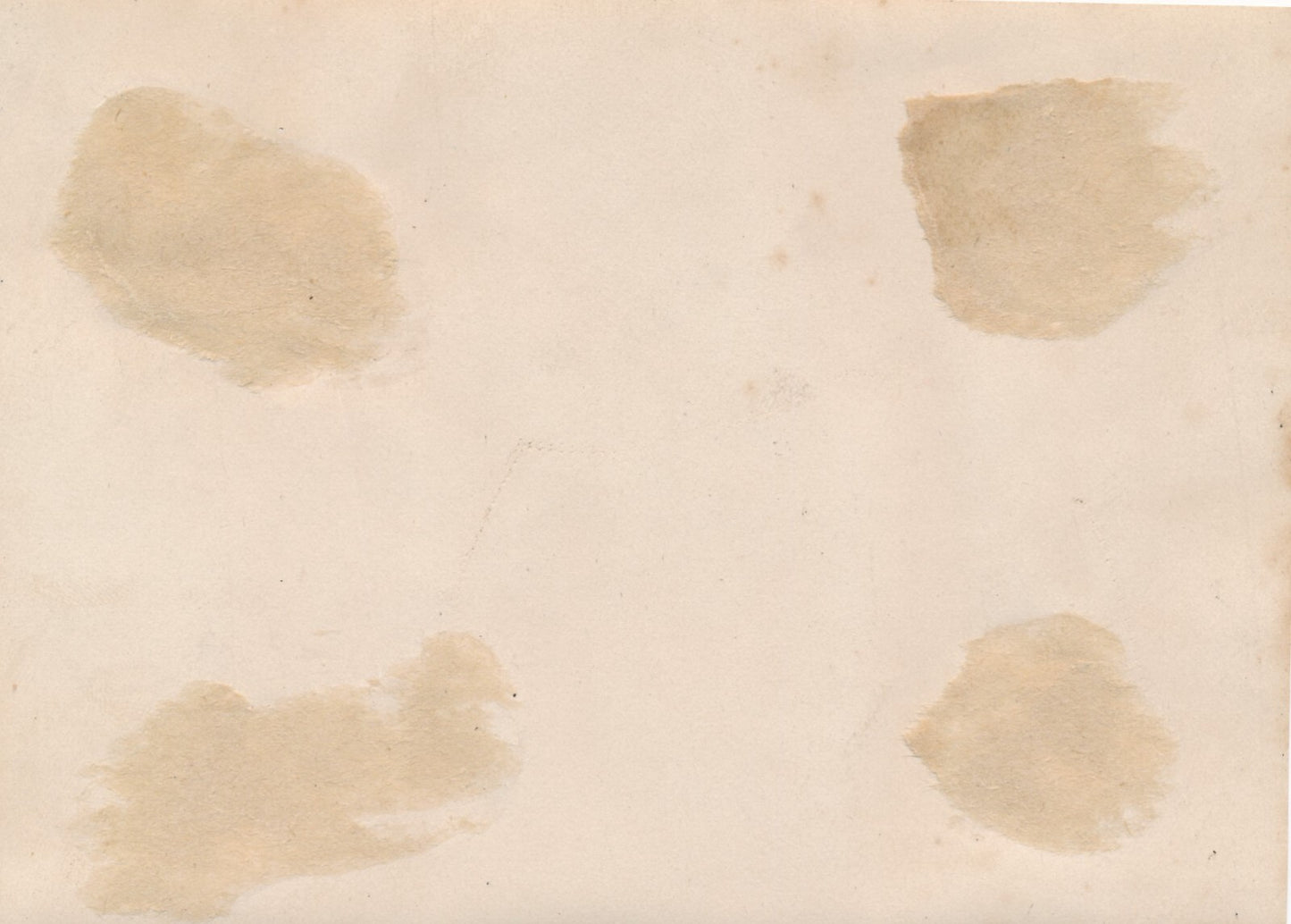 Le jaguar zoo 2 photo photographies époque v. 1937