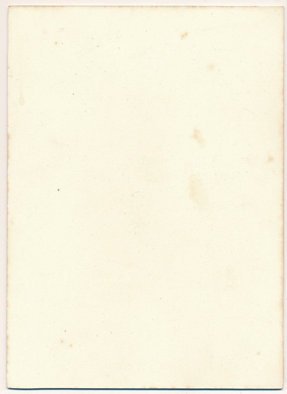 La fleur pistil pétale photo photographie v. 1950 photographe Georges Bracher