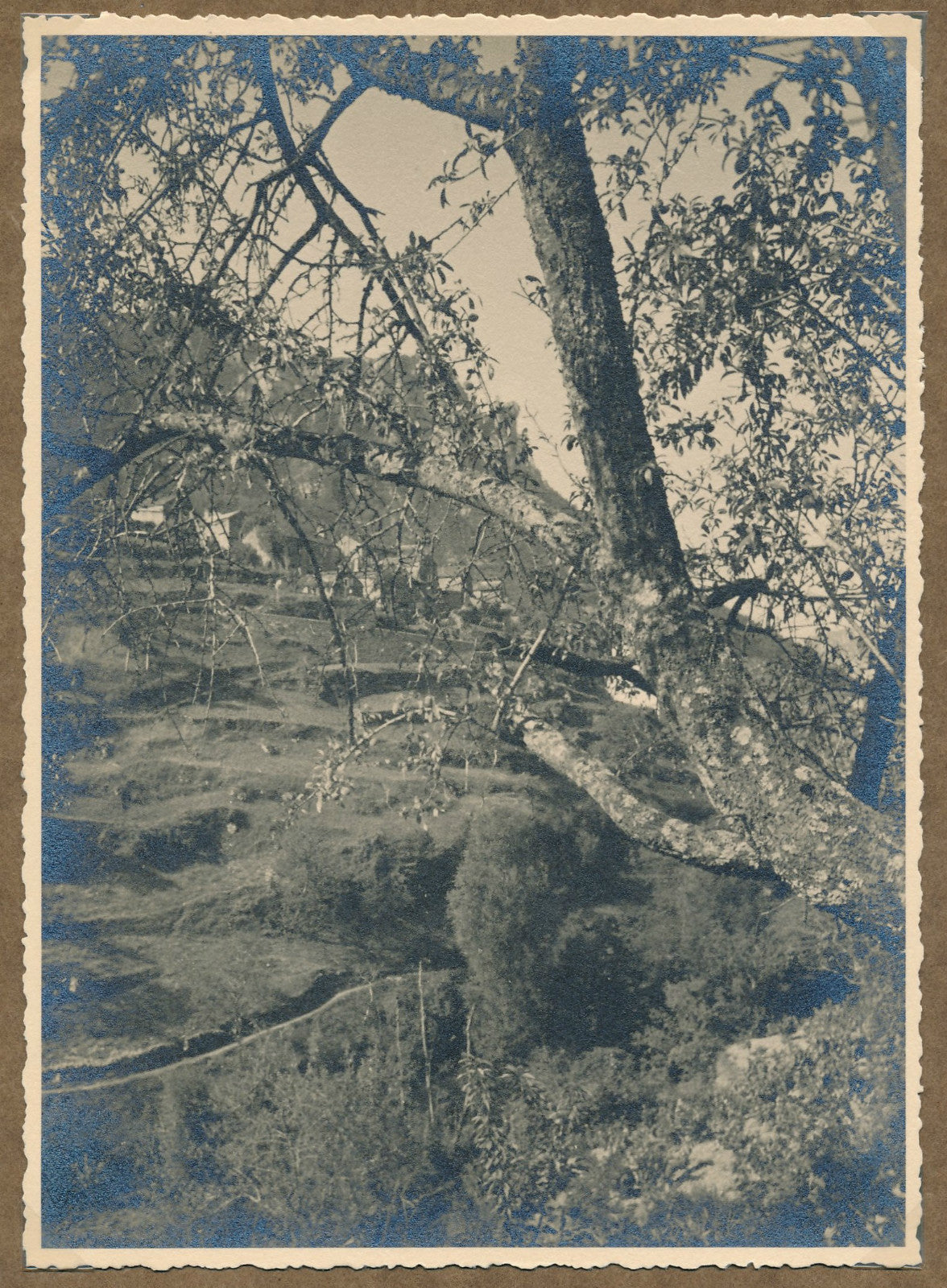 La Jonte Lozère paysage photo argentique d'époque 1938