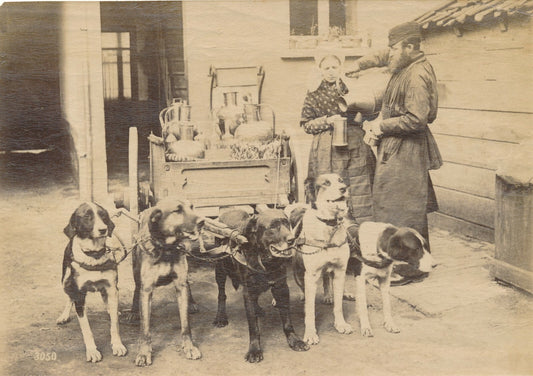 Laitier laitière lait chiens tirage albuminé Belgique vers 1880 photographie