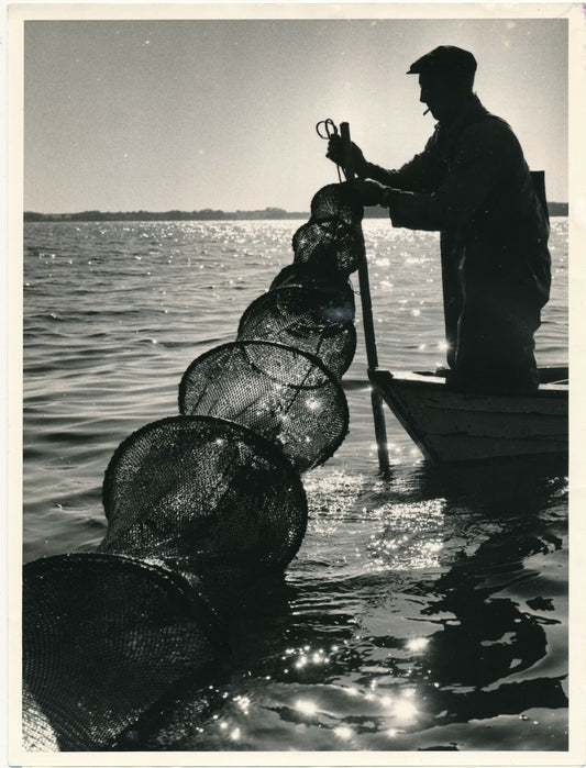 Pêcheur au Danemark, 1959 photo photographie ombre soleil mer