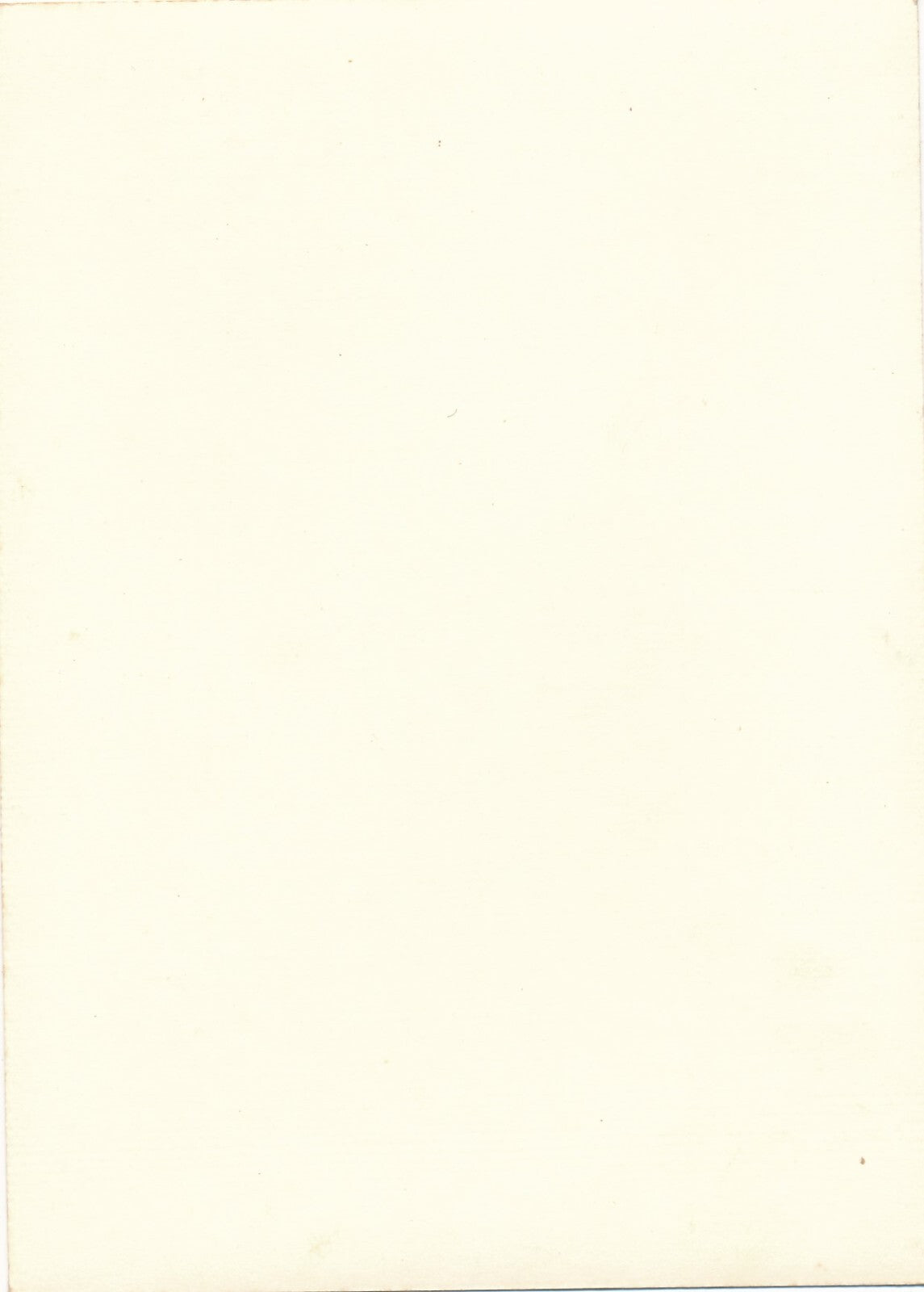 arbre 3 variations photo photographie v. 1960 nature paysage
