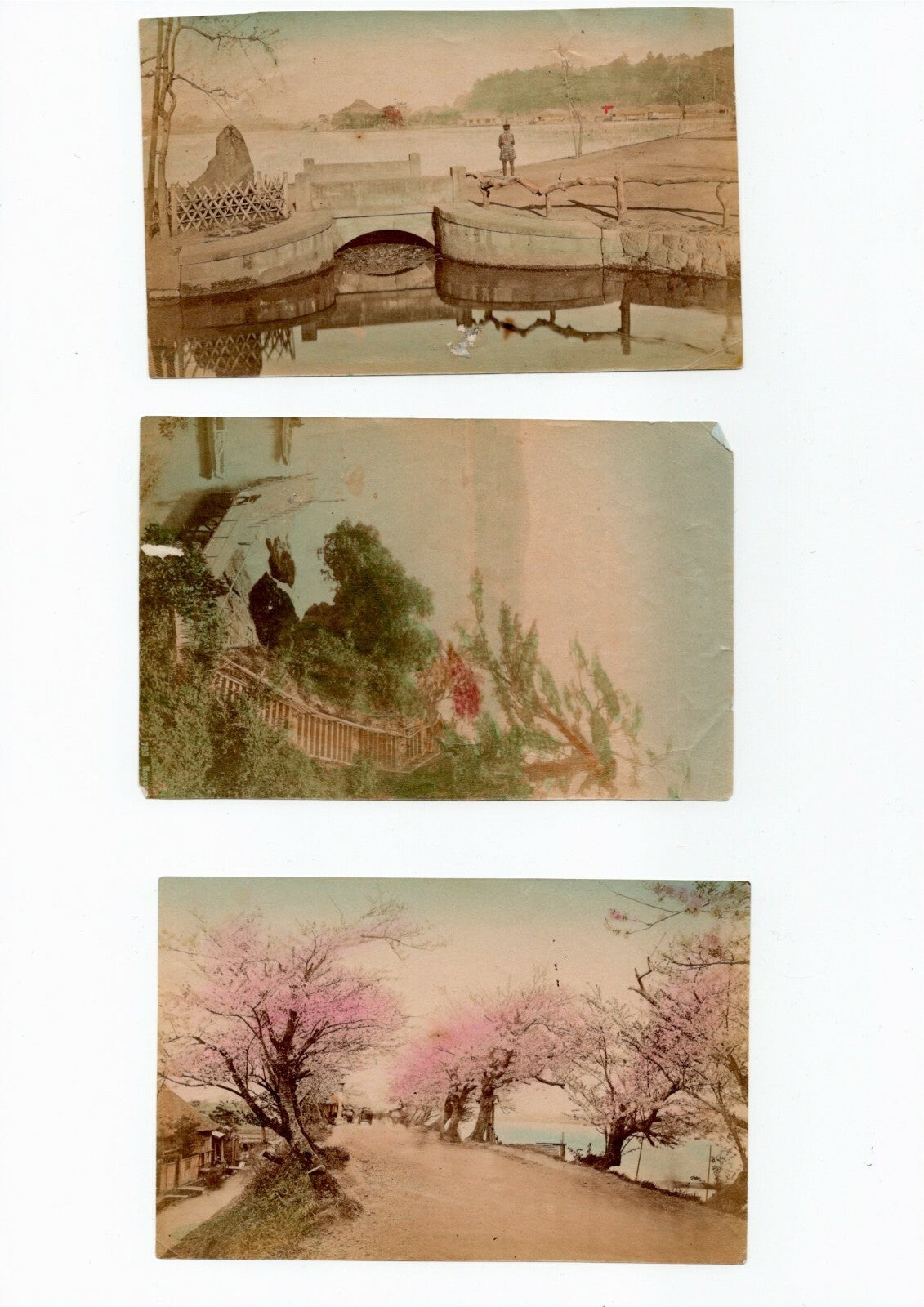Japon jardins paysages scènes genre 15 tirages papier albuminé aquarellés photo