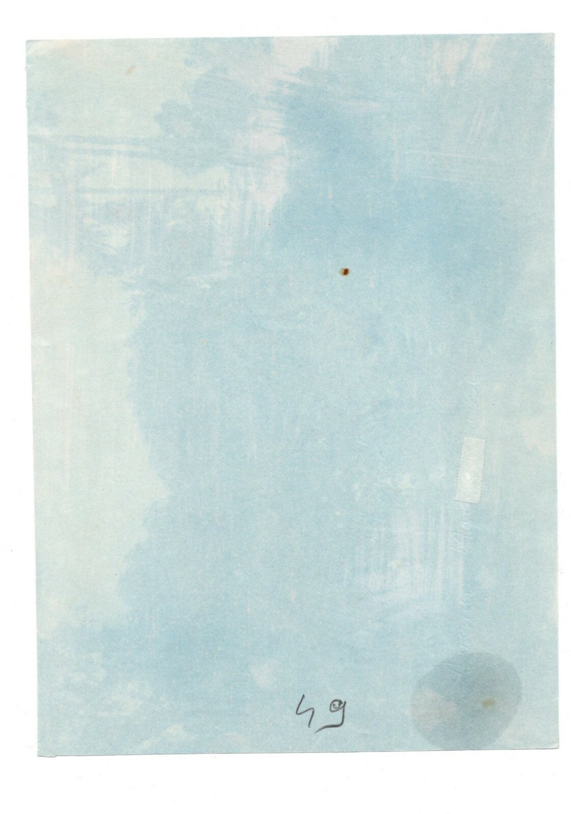 Paysage, Afrique, Asie ? cyanotype années 1920 paysage nature photo photographie