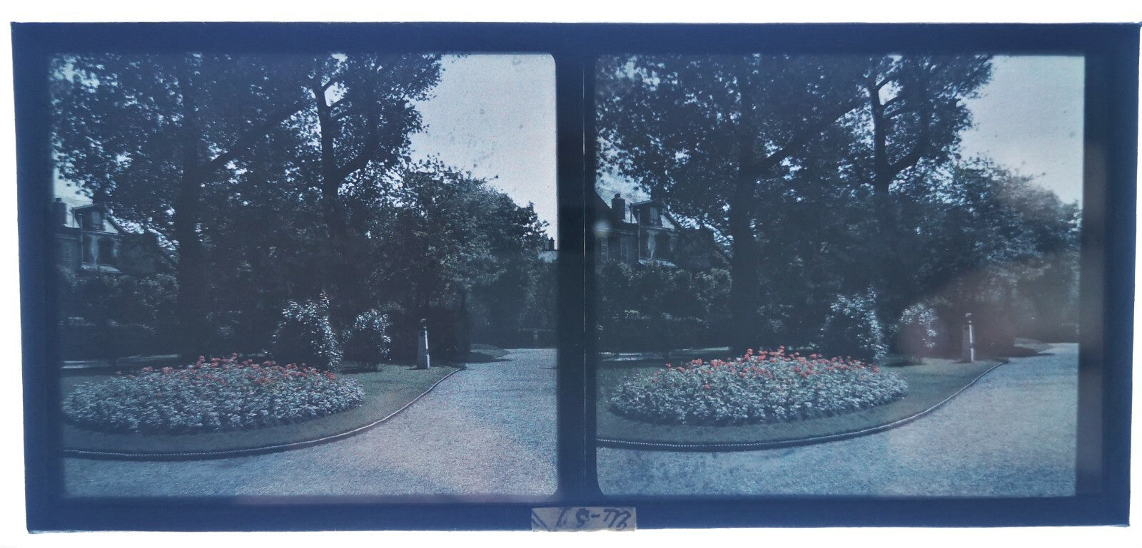 6 stéréo autochrome jardins fleurs photo photographie