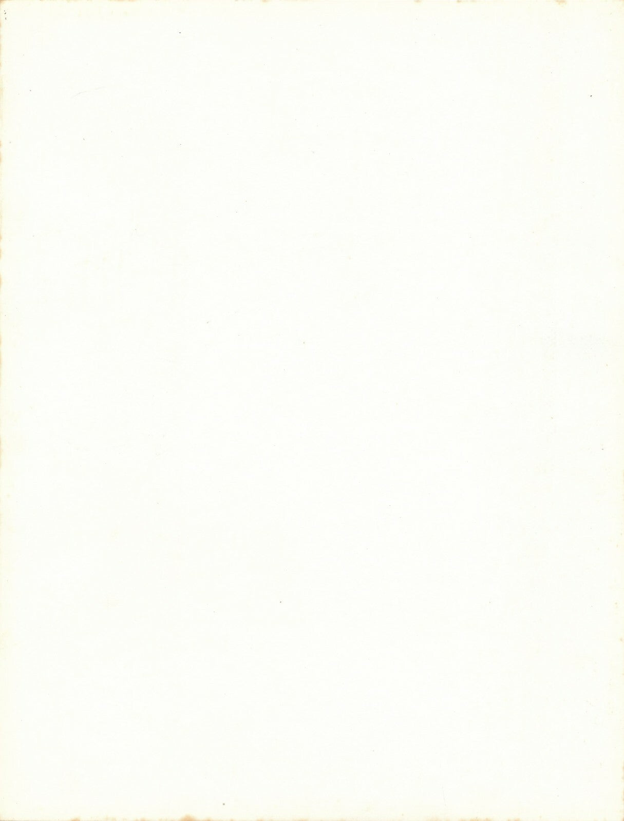 Étude de plante forme 2 photo photographie vintage vers 1950