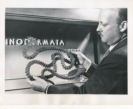 J. C Armstrong American Museum of Natural History New York photo mer 