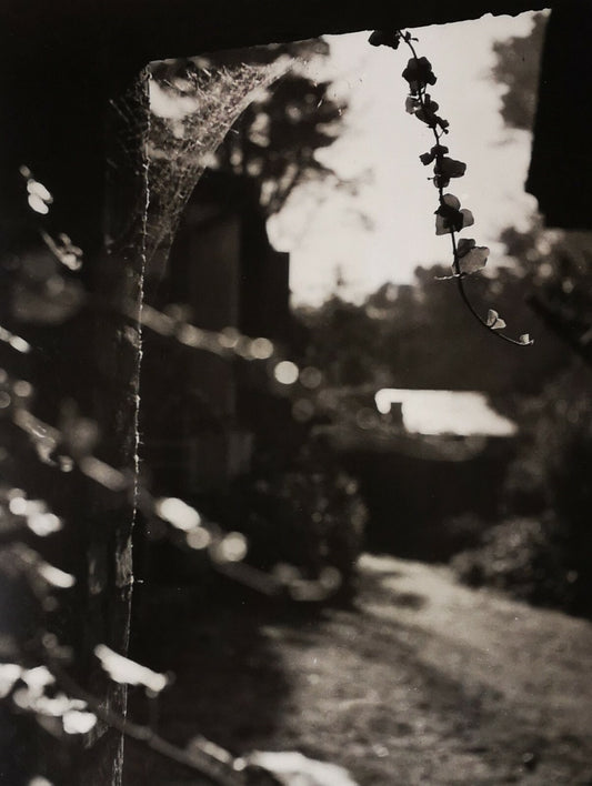 Pierre JAHAN (1909-2003), photographe Etude n° 12 date 1936 photo photographie