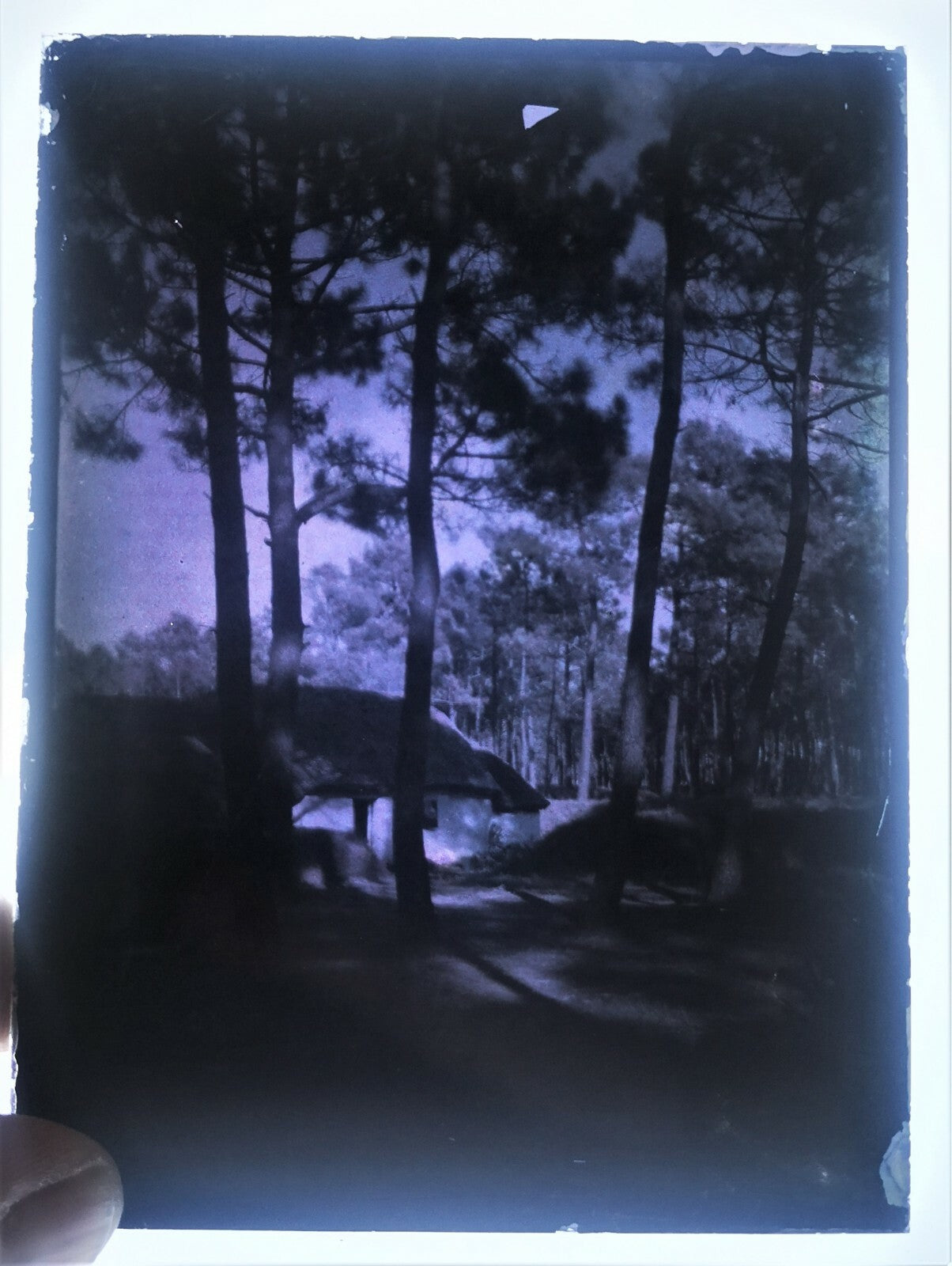 3 autochrome maison toit chaume Normandie 9 x 12 cm photo photographie