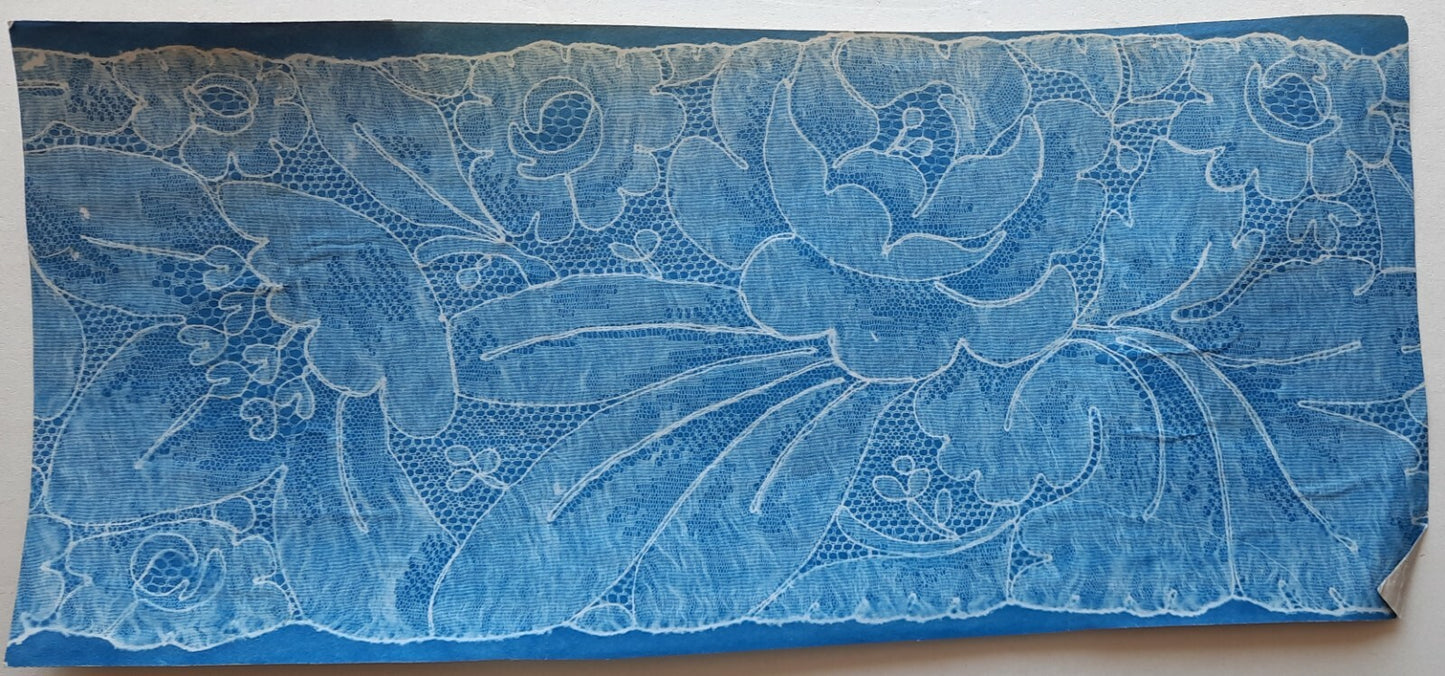Patron photographique dentelle cyanotype vers 1900. 15 x 33,5 cm photo