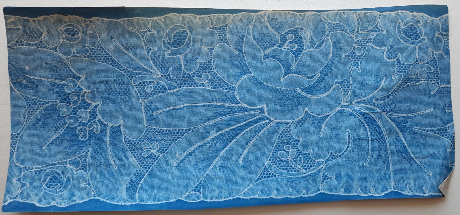 Patron photographique dentelle cyanotype vers 1900. 15 x 33,5 cm photo
