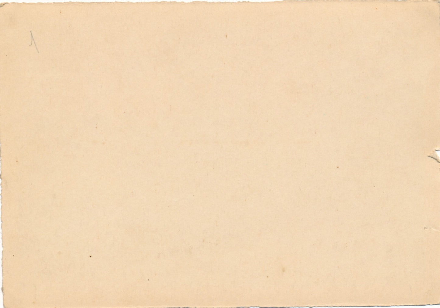 Paysage  chèvres 2 photos technique différente citrate argentique photographie