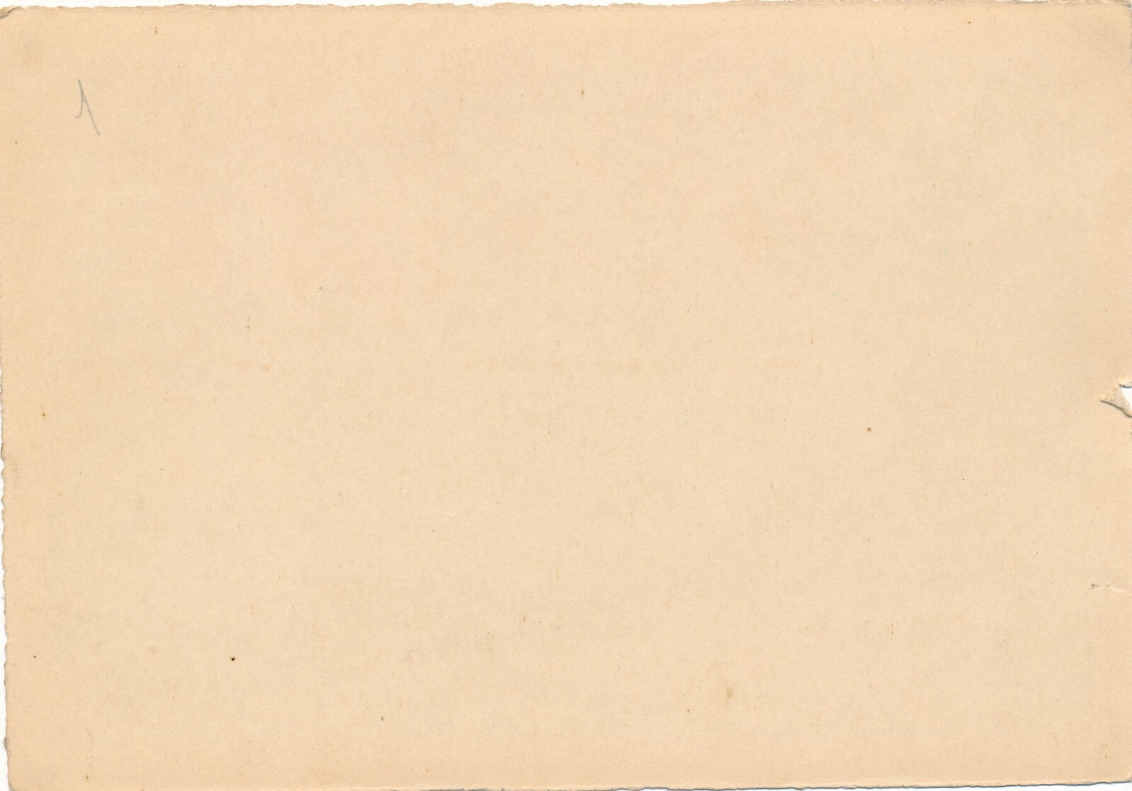 Paysage  chèvres 2 photos technique différente citrate argentique photographie