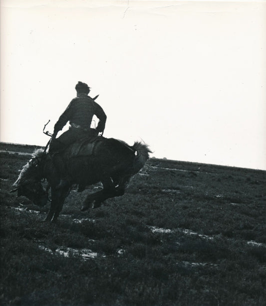 Photo Rodéo Tirage argentique d’époque, années 1960 chaval