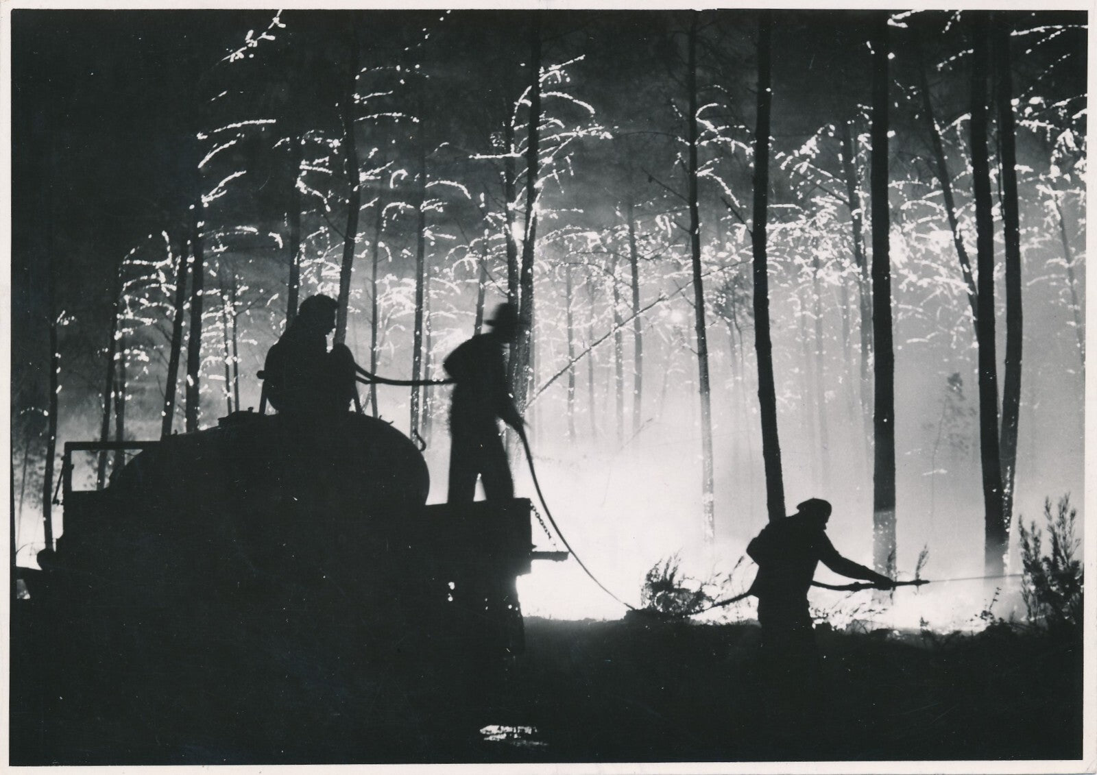 Paul ALMASY pompier feu fôret incendie photo photographie v. 1970