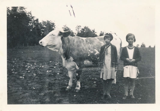 snapshot enfants vache intérieur amateur famille argentique Photo