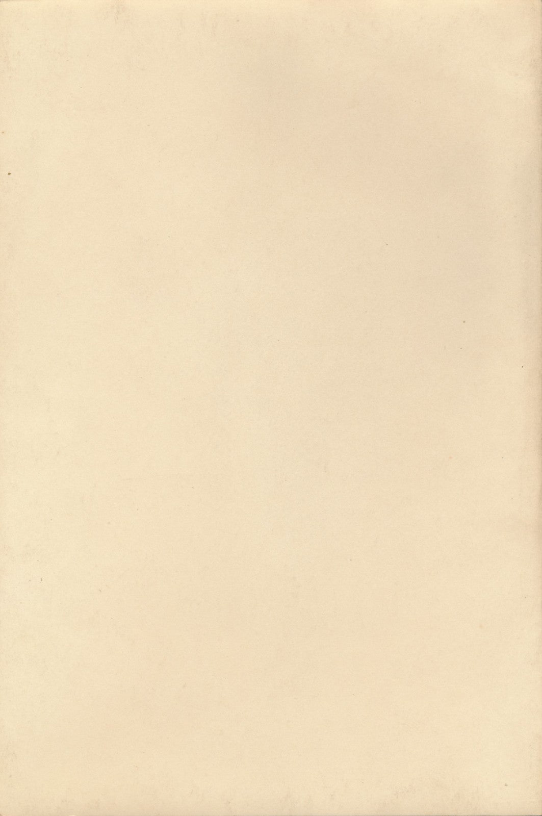 nu Photographie photo 2 études tirage argentique époque v. 1940 sexy sein