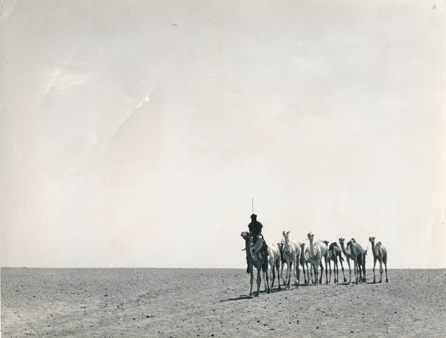 Niger désert du Ténéré photo photographie dromadaire argentique vintage
