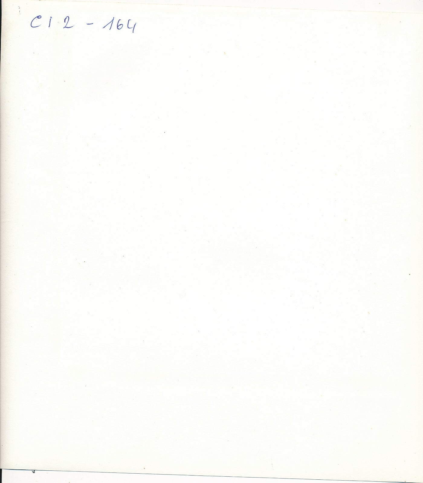 arbres fils électriques poteaux photo photographie v. 1970 paysage nature