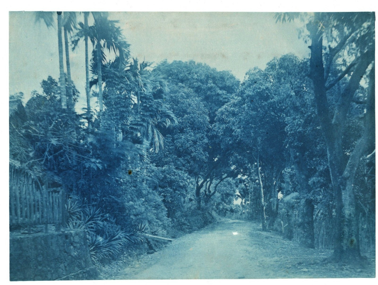 Paysage, Afrique, Asie ? cyanotype années 1920 paysage nature photo photographie