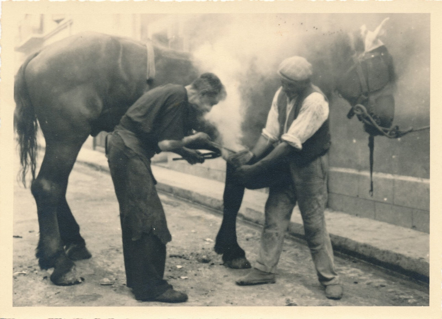 Ferrage des chevaux fer à cheval 5 tirages argentiques d'époque, vers 1930
