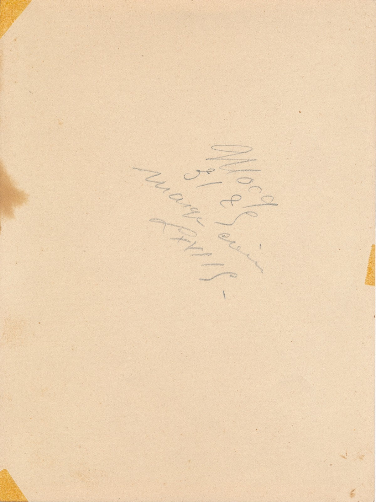 photo Nature morte crâne vanité violon photographie argentique époque v. 1940