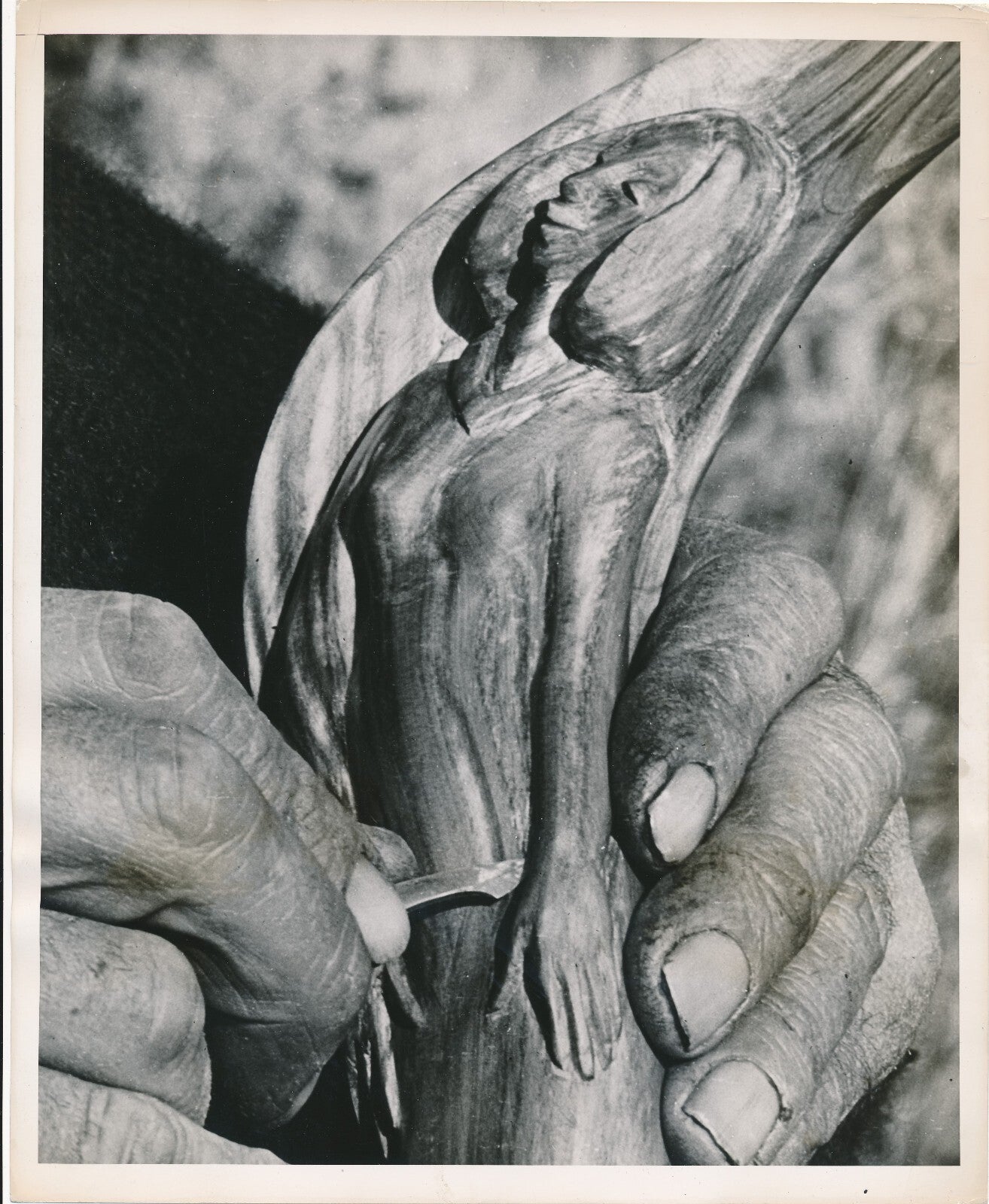 GARSTANG HODGSON 5 photos photographie époque bois sculpture Alberta