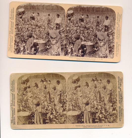 coton esclave Georgie Etats-Unis 2 stereo stéréo albumine photo