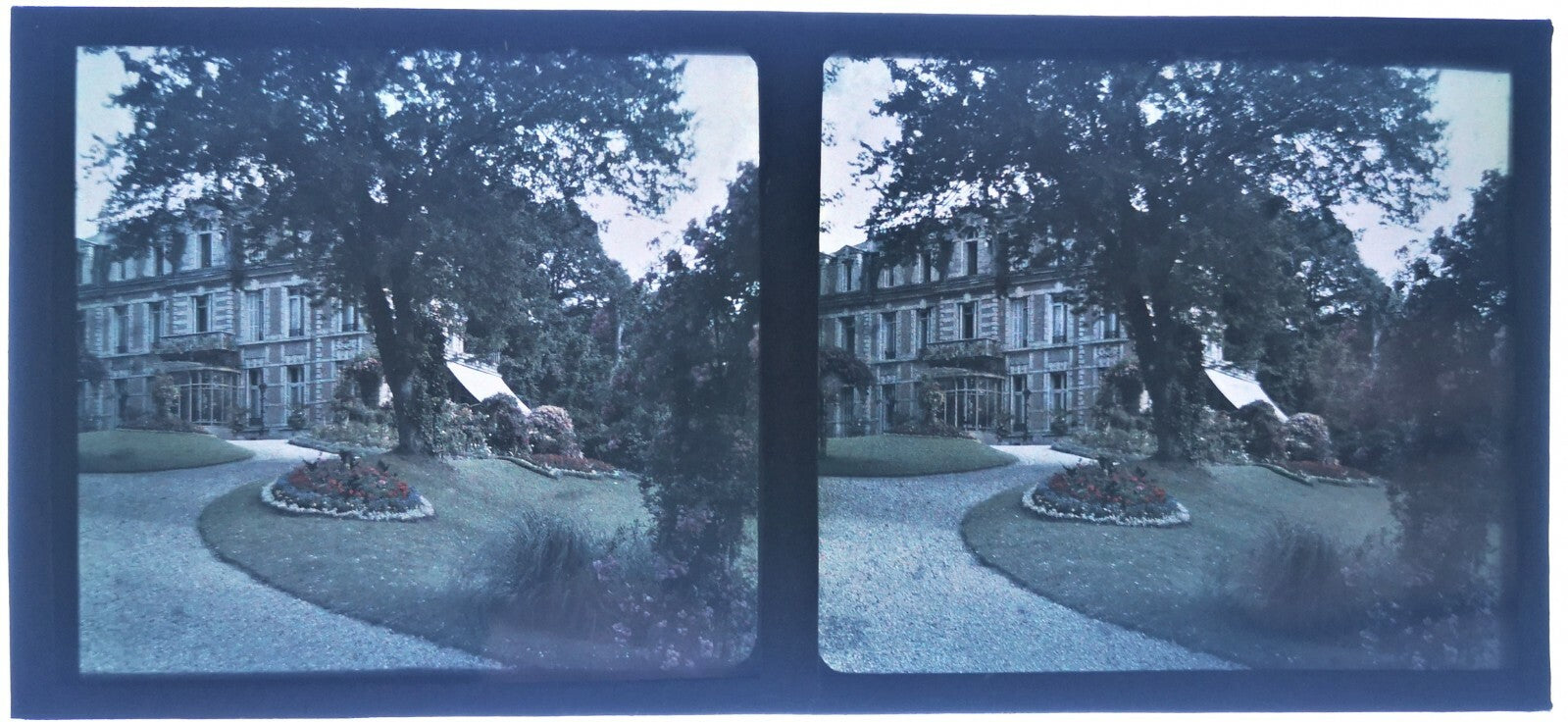 6 stéréo autochrome jardins fleurs photo photographie
