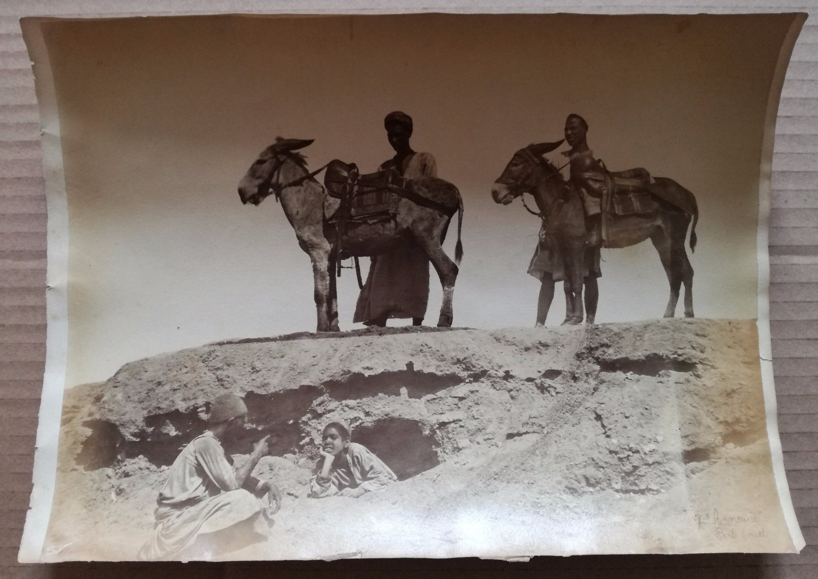 Hippolyte Arnoux égypte Port Saïd ânes albumine albumen  v. 1880 vintage photo