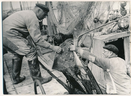 La raie et les pêcheurs photo photographie v. 1950 photographe Georges Bracher