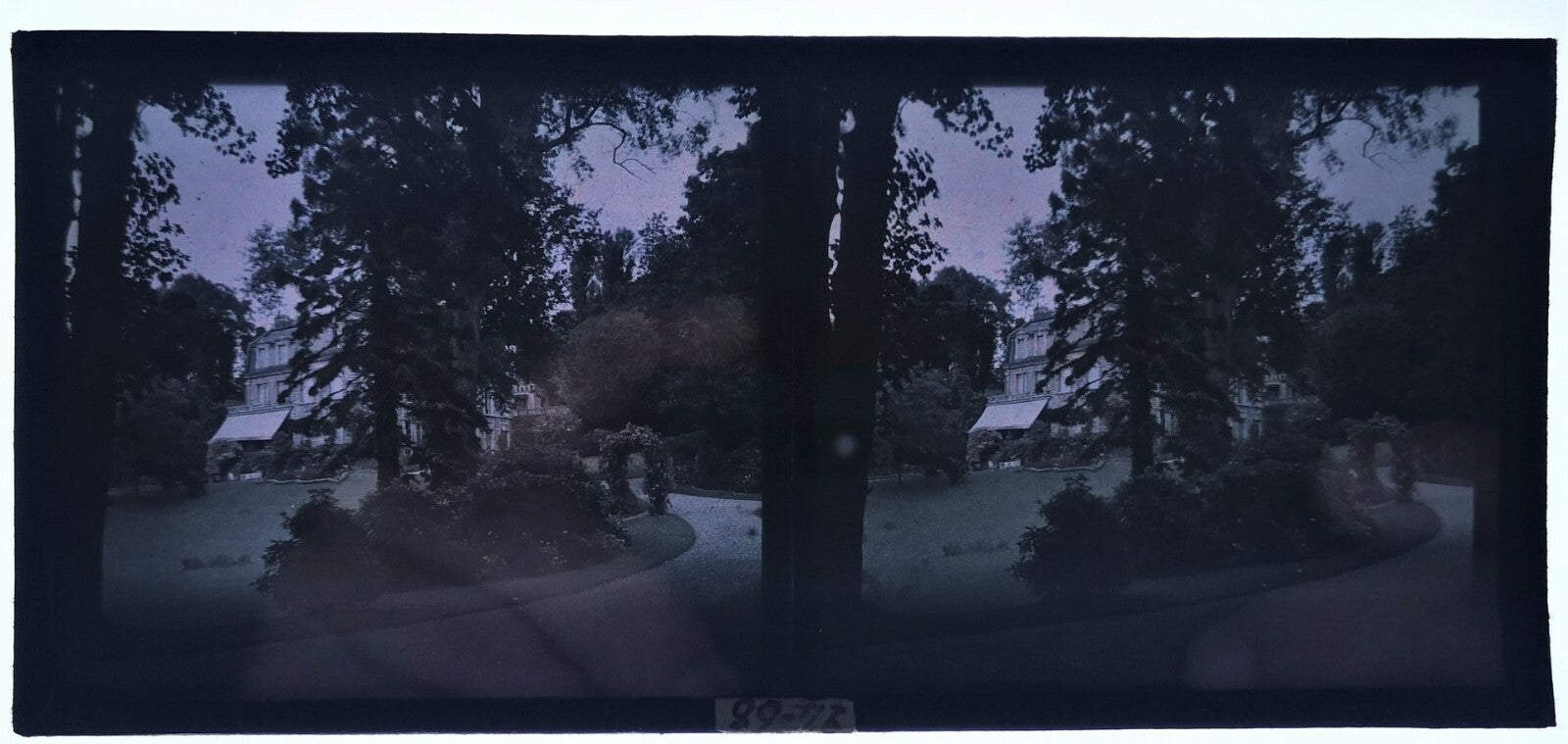 6 stéréo autochrome jardins fleurs photo photographie