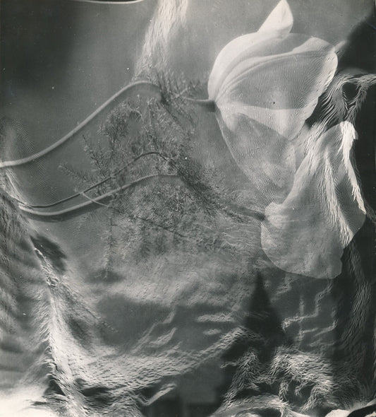 fleurs Anonyme argentique photomontage v. 1960. photo photographie