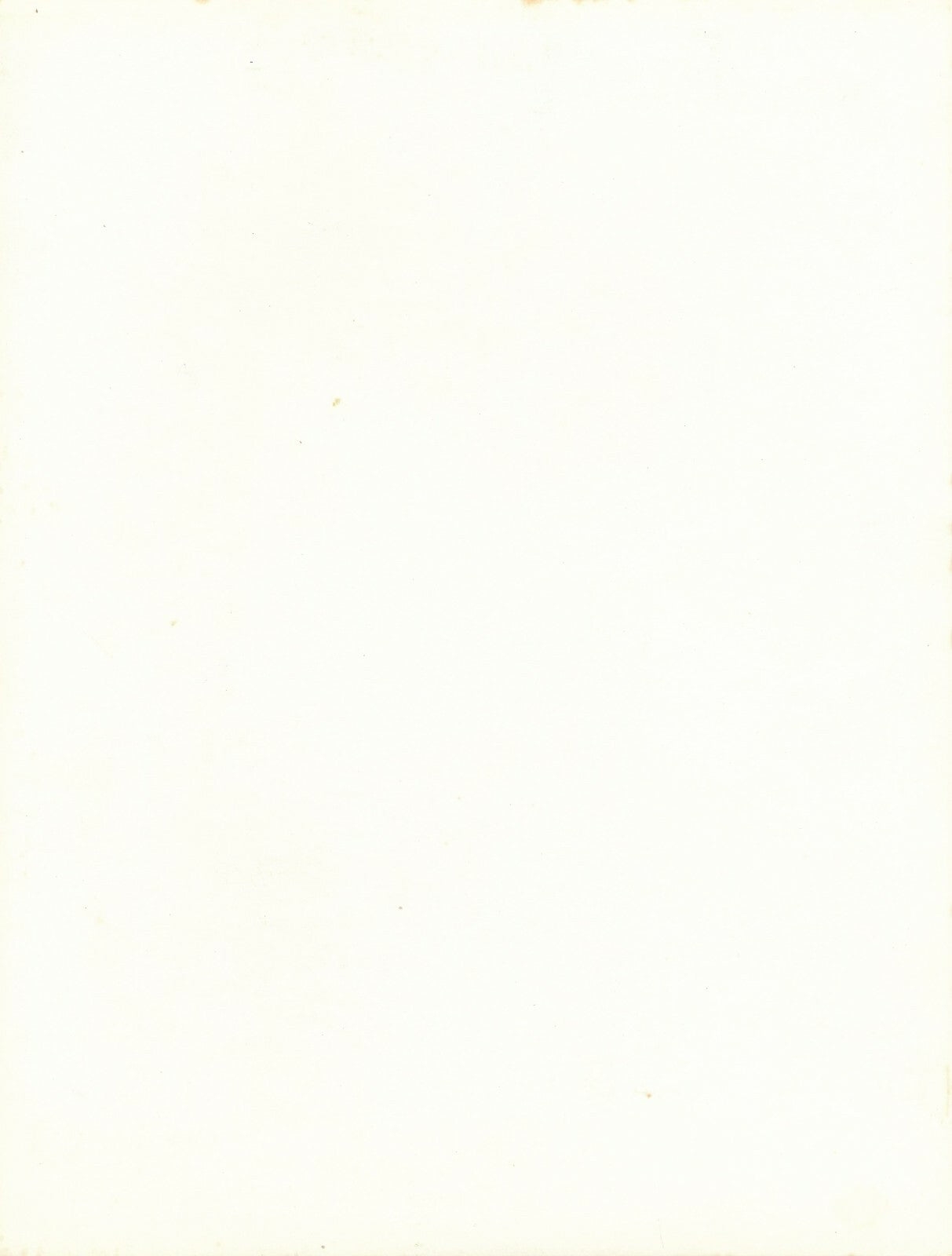 Étude de plante forme 2 photo photographie vintage vers 1950